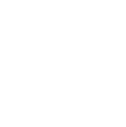 Retinae Srl